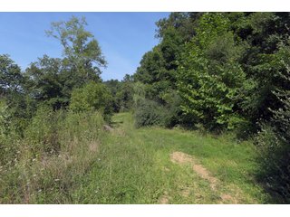 Tract 27 - Timberland & Farmland in Noble County, OH - LAND AUCTION - 12,200+/- ACRES OFFERED IN 65 TRACTS IN NOBLE COUNTY, OHIO